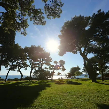 公寓 Petra In The Center Of The 斯普利特